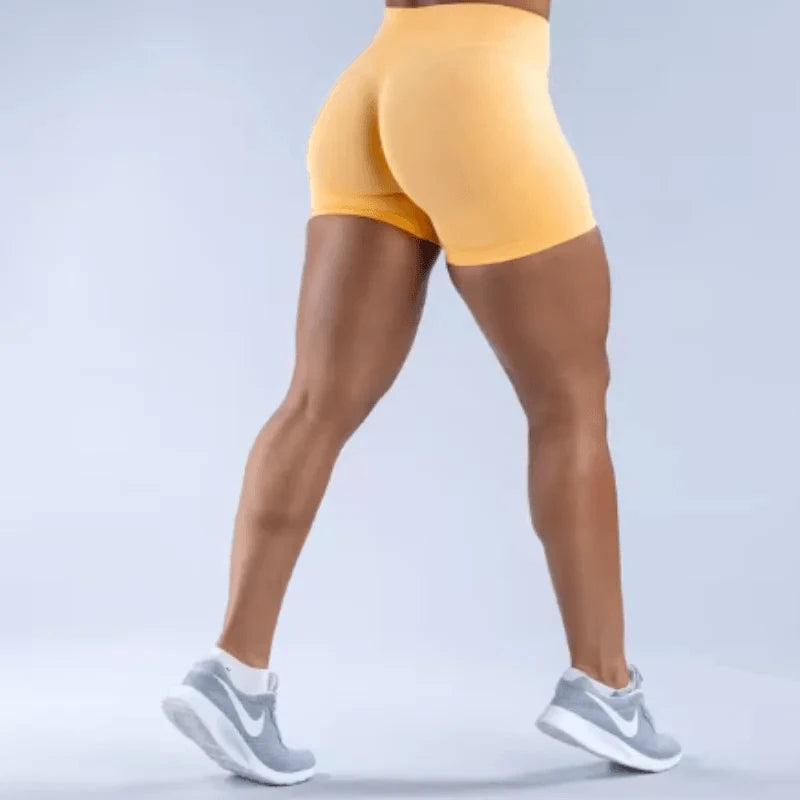 Short Seamless - Gryndwear